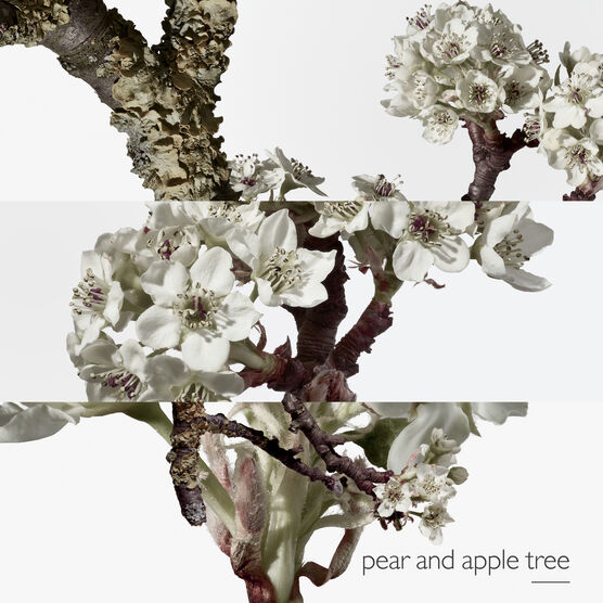 HERMES     JARDIN SUR LE EDTV 30ML