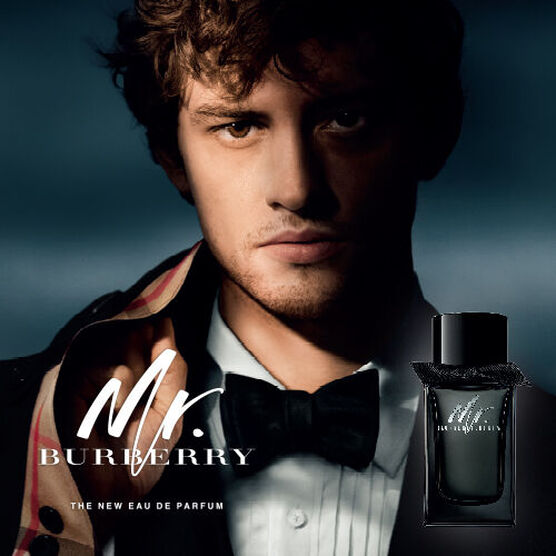 BURBERRY   MR. BURBERRY  EDP  100ML