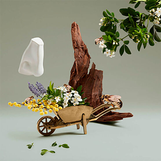 Perfume Penhaligon's British Tales Highgrove Bouquet Unissex Eau de Parfum