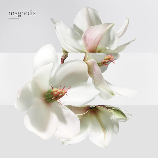 HERMES     JARDIN SUR LA EDT  30ML