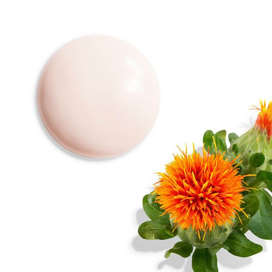 SHISEIDO   VITAL PERF    FACE 75ML