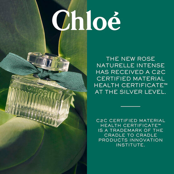CHLOE SIGNATURE INT REFIL EDP 100ML