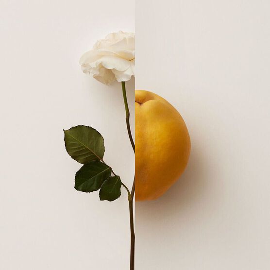 BURBERRY   MY BURBERRY   EDP  90ML