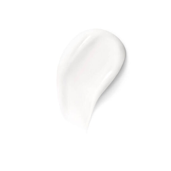 ABEILLE ROYALE MOISTURIZER