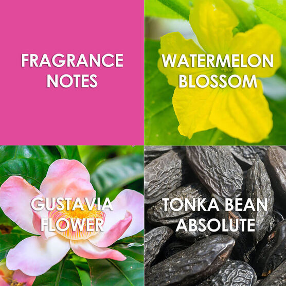 Perfume Brtiney Spears Jungle Fantasy Feminino Eau de Toilette