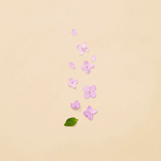 GUCCI      GUILTY        EDTV 50ML