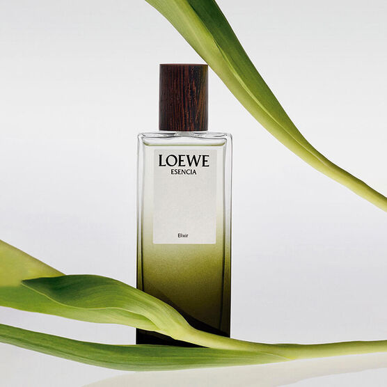 Perfume Loewe Esencia Elixir Masculino Eau de Parfum