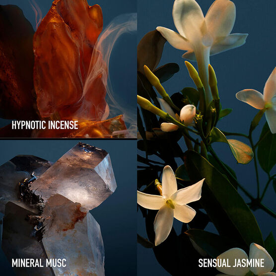 FAME REFILLABLE 30ML