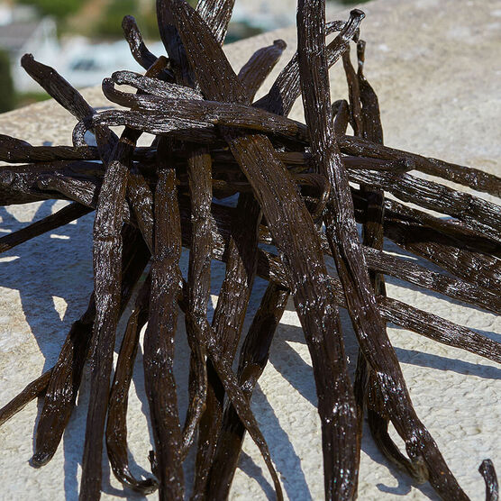 Perfume Dolce&Gabbana Devotion Feminino Eau de Parfum