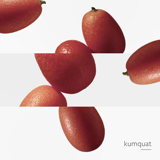 HERMES     LE JARDIN DE  EDTV 30ML