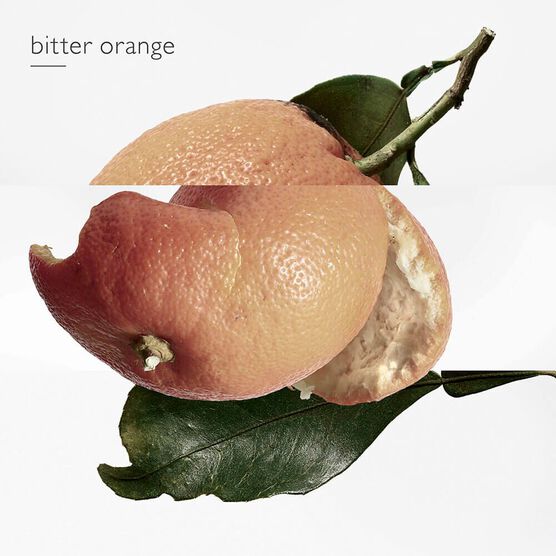 HERMES     EAU MERVEILLE EDTV 100ML