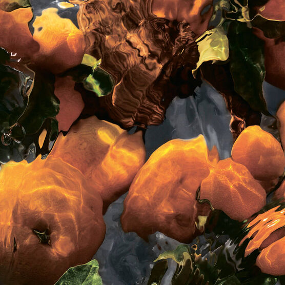 Perfume Guerlain Aqua Allegoria Mandarine Basilic Forte Feminino Eau de Parfum