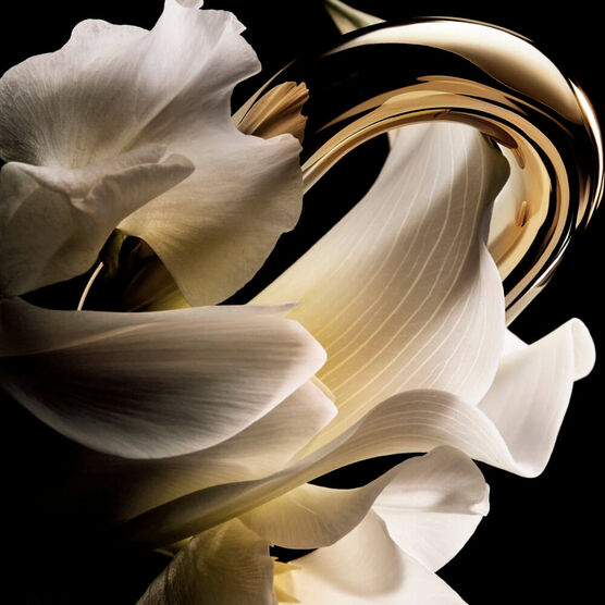 Perfume Rabanne Million Gold For Her Feminino Eau de Parfum