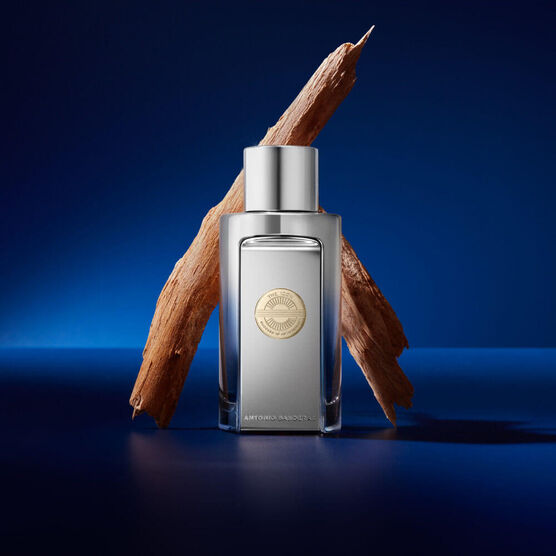 Perfume Banderas The Icon Masculino Elixir