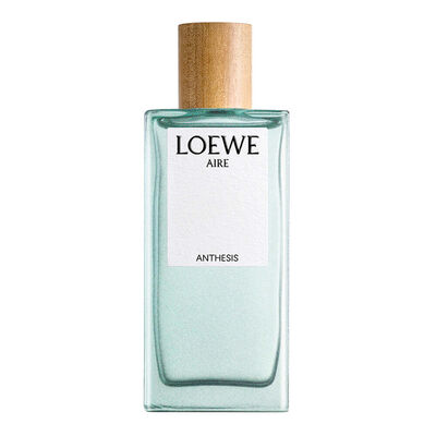 AIRE LOEWE  ANTHESIS EDP 100ML