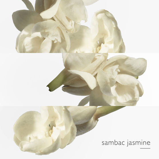 HERMES     LE JARDIN DE  EDTV 30ML