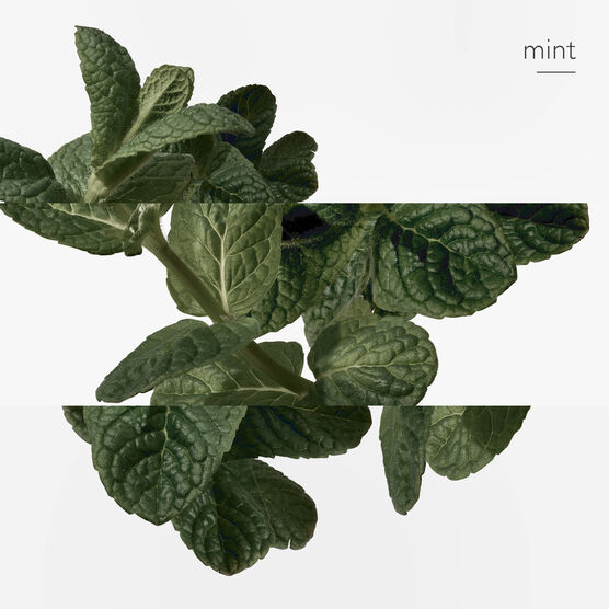 HERMES     1             EDCV 100ML