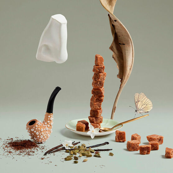 Perfume Penhaligons Changing Constance Unissex Eau de Parfum