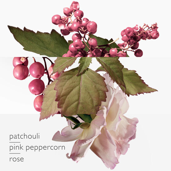 HERMES     TWILLY        EDP  30ML