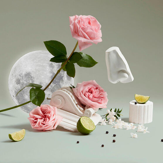 LADIESCOLLECTION LUNA EDT 100ML REPACK