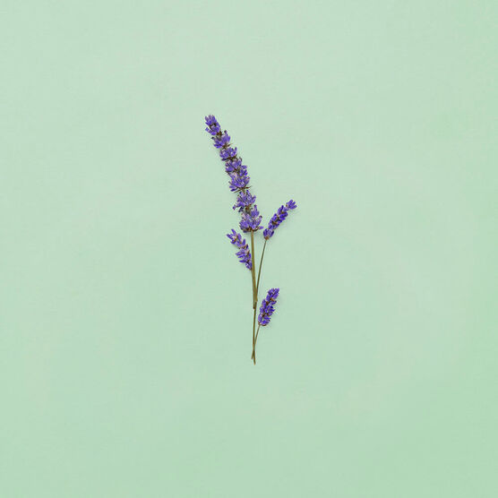 GUCCI      GUILTY FOR ME EDTV 90ML